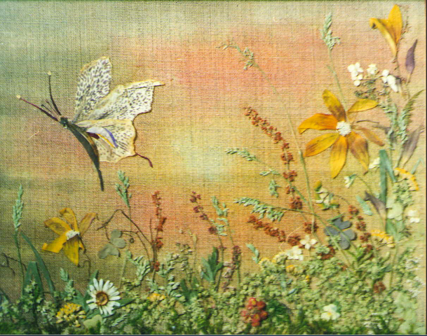 Пейзажи